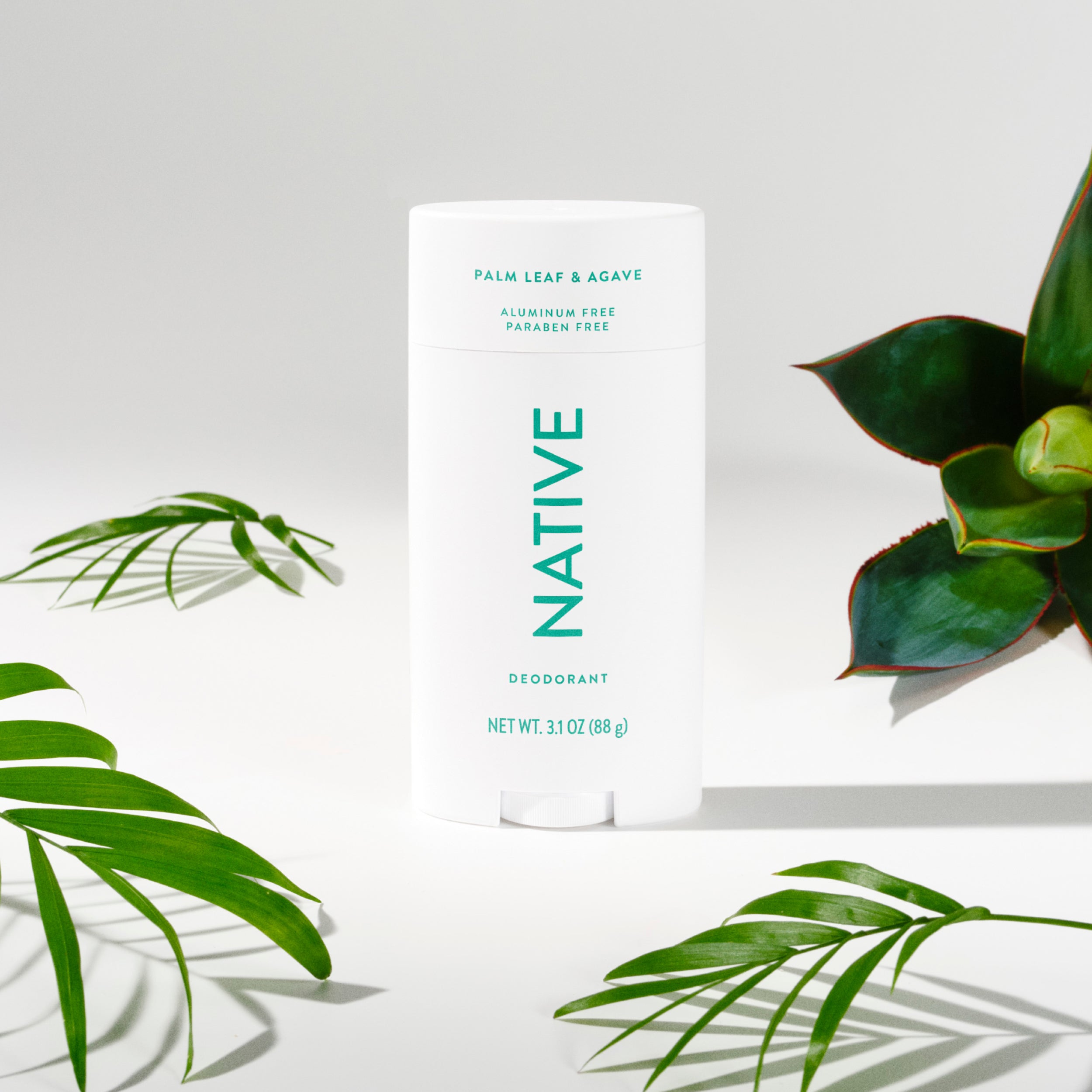Deodorant Stick Palm Leaf and Agave 3.1oz Classic Everyday Essential