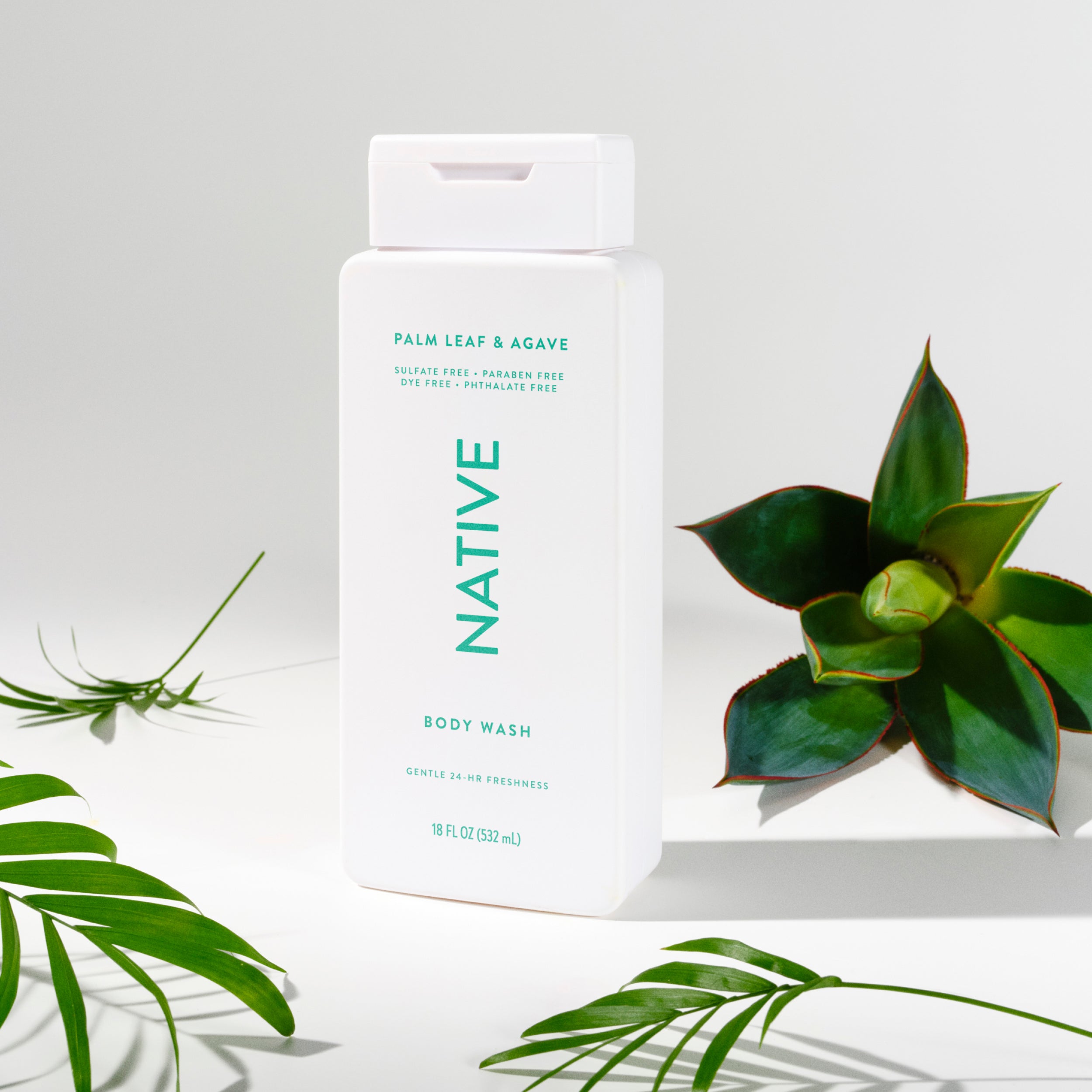 Body Wash Palm Leaf and Agave 18oz Classic Everyday Essential