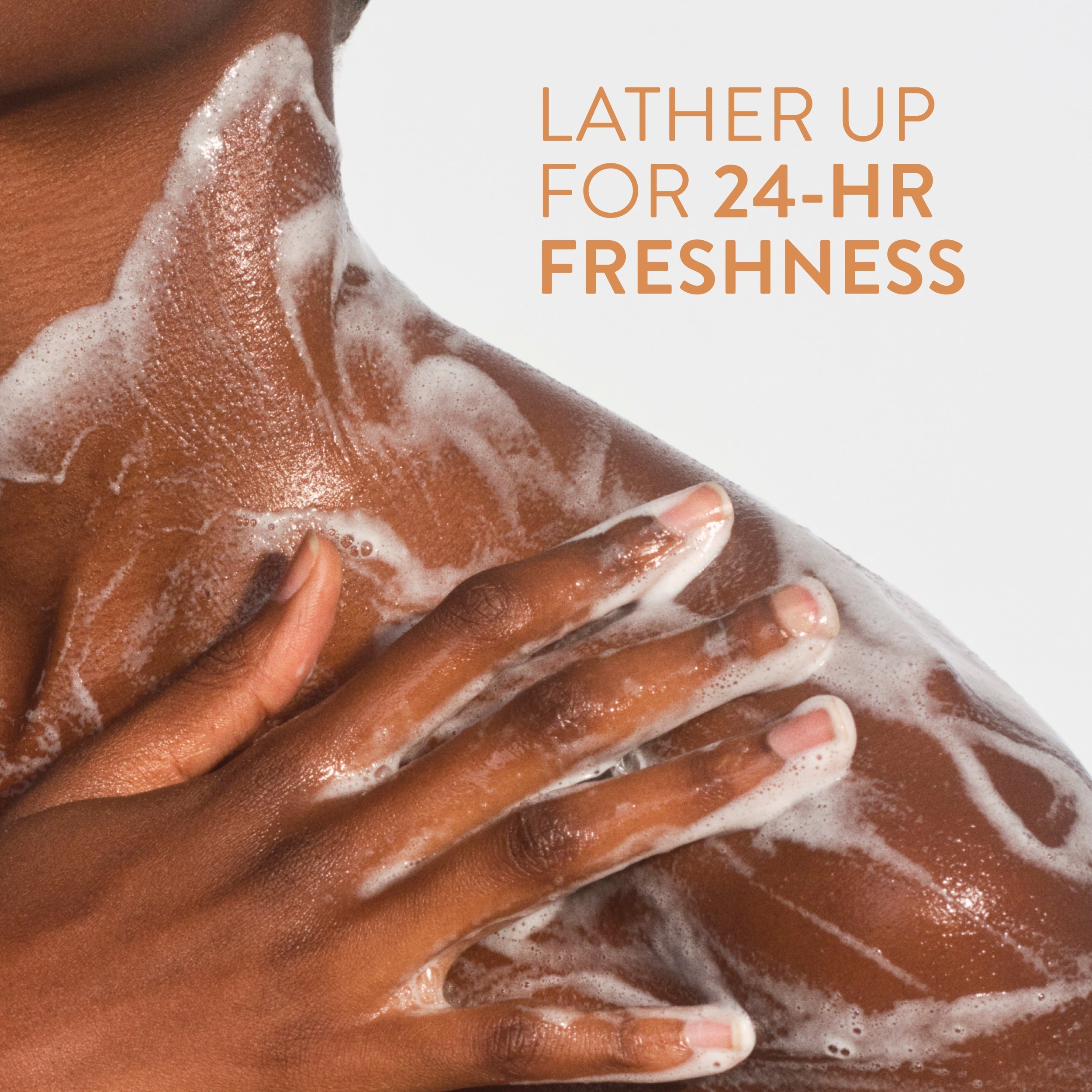 Body Wash Toasted Vanilla and Honey 18oz Classic Everyday Essential