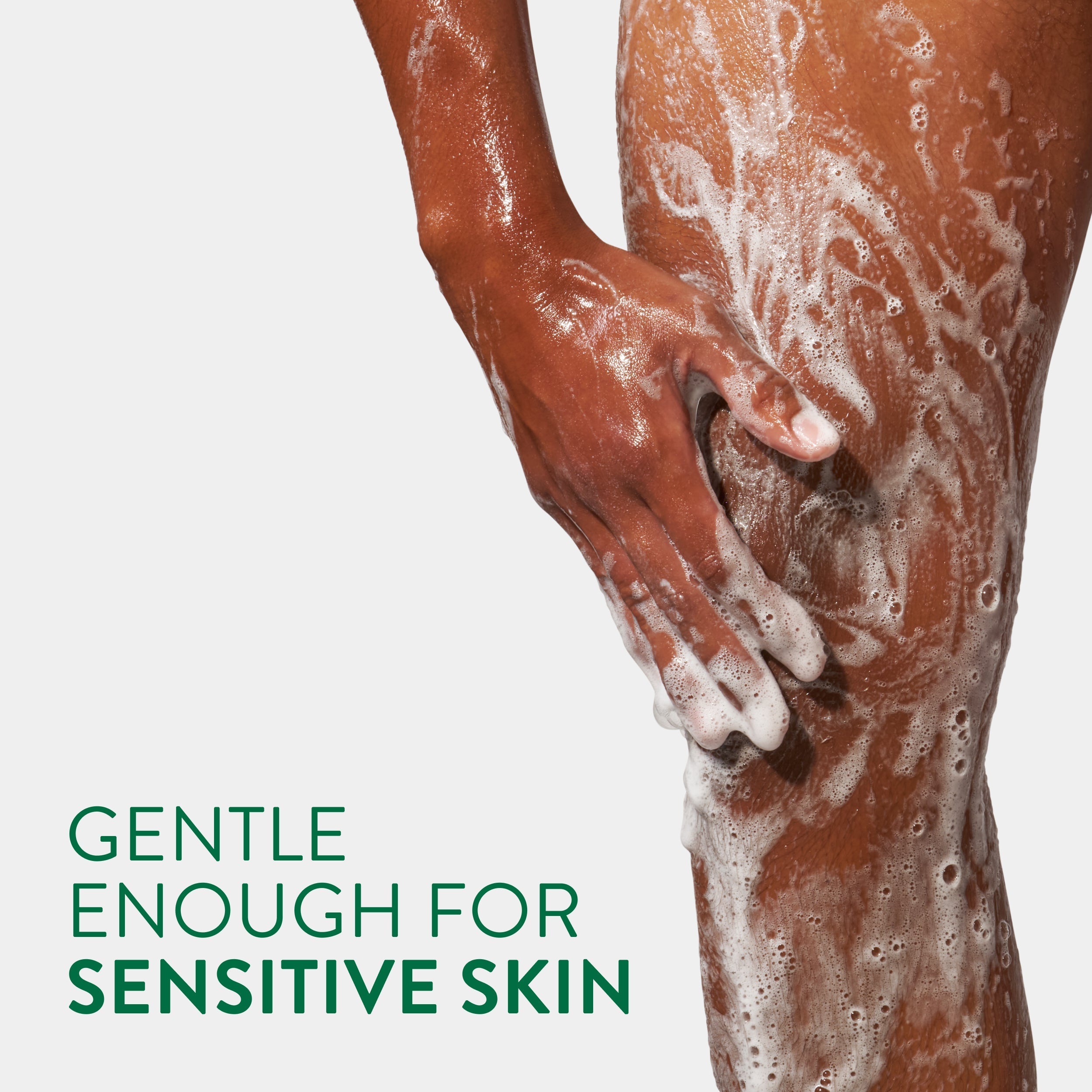 Body Wash Eucalyptus and Mint 18oz Classic Everyday Essential