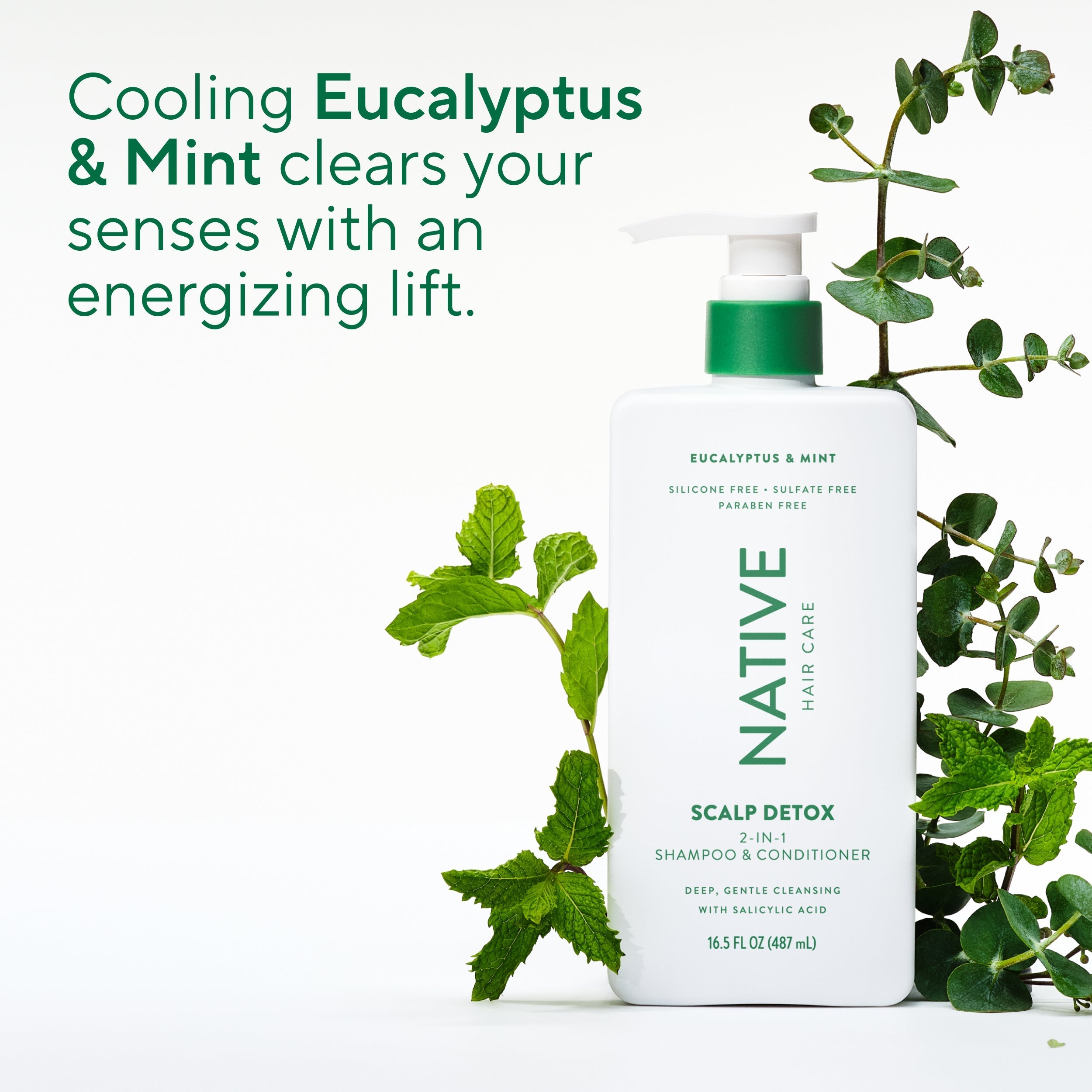 Scalp Clarifying 2 in 1 Shampoo and Conditioner Eucalyptus and Mint 16.5oz Classic Everyday Essential