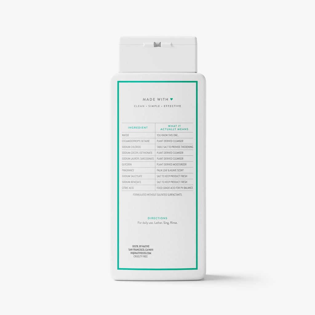 Body Wash Palm Leaf and Agave 18oz Classic Everyday Essential